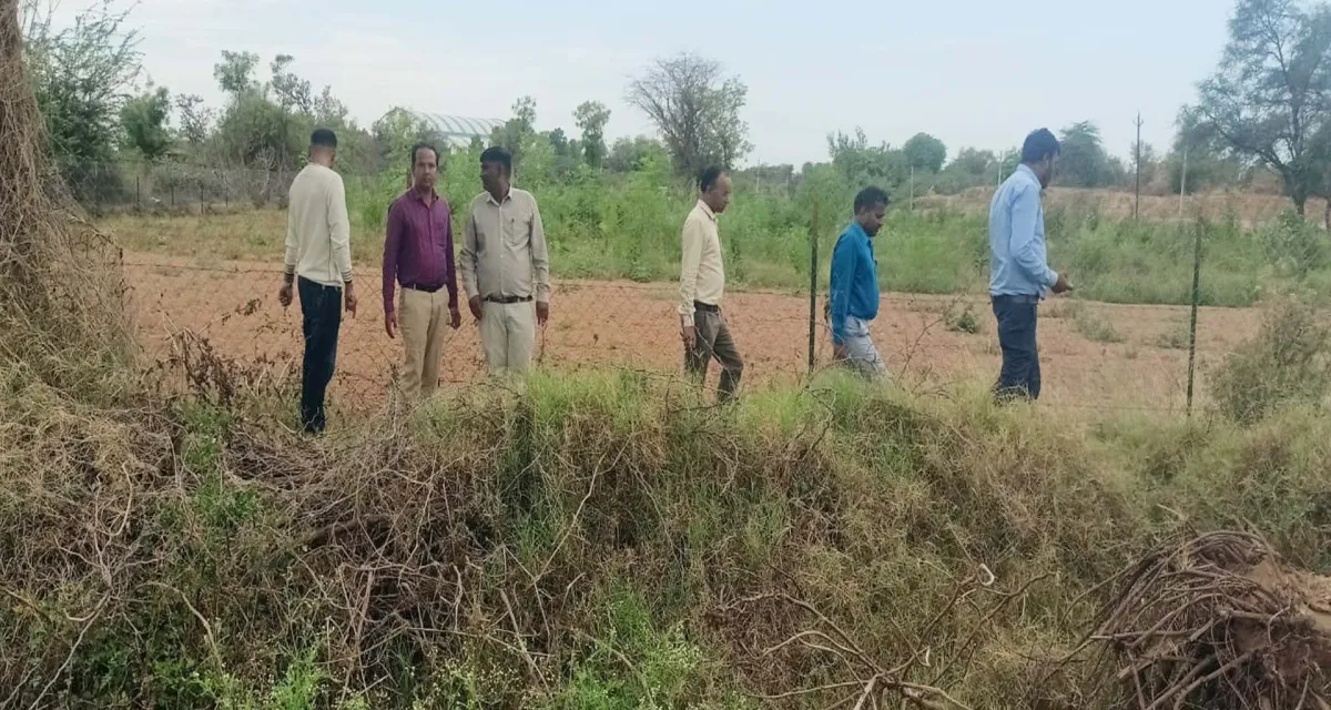 ઉંઝાના કોર્પોરેટરની સફળ રજૂઆત, વણાગલા રોડ પર નવીન વીજ ફીડર માટે ૨ વીઘા જમીન ફાળવાઈ