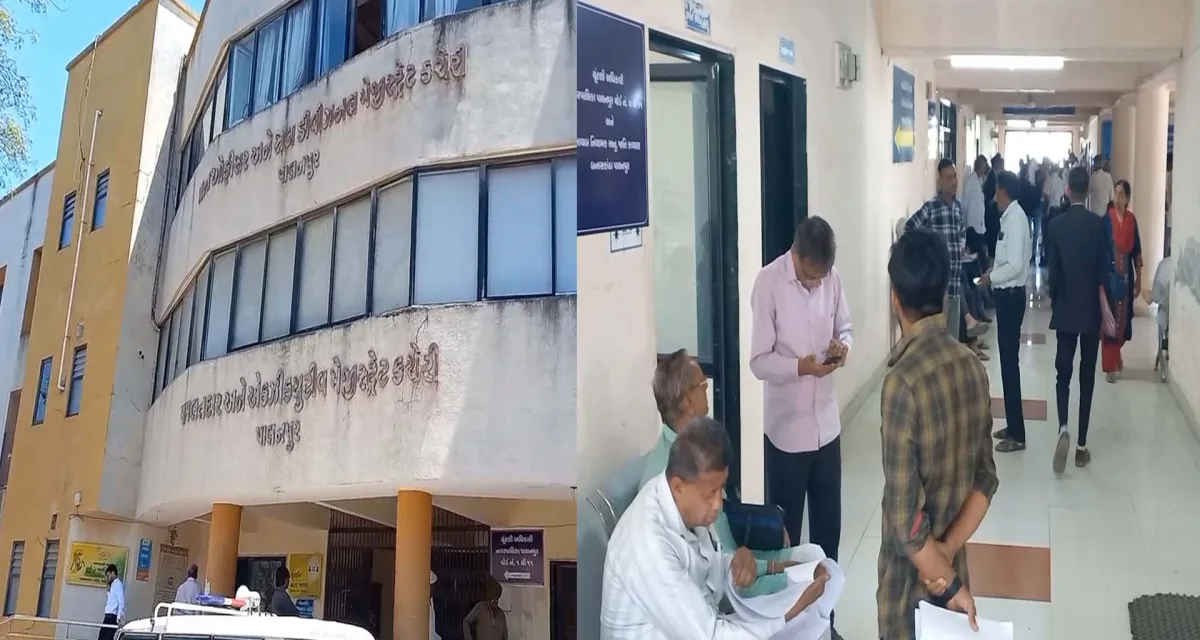 પાલનપુર નગરપાલિકા : ફોર્મ વિતરણના પ્રથમ દિવસે ઉત્સાહ, 71 ફોર્મનું વિતરણ 