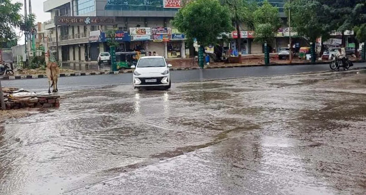 મહેસાણા : ચૈત્રમાં અષાઢી માહોલ; ભારે પવન અને ગાજવીજ સાથે કમોસમી વરસાદ