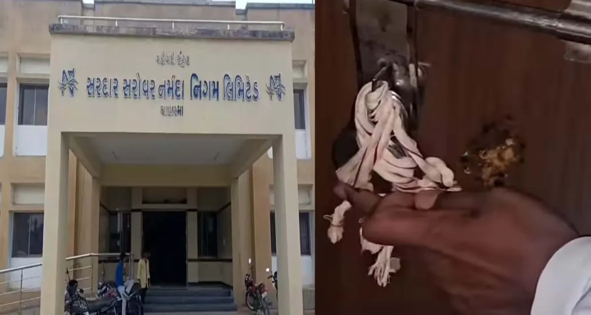 ચાણસ્મા: જમીન સંપાદનની રકમ ન ચૂકવતા નર્મદા કચેરીના એક્ઝિક્યુટિવ એન્જિનિયરની ઓફિસ સીલ કરાઈ