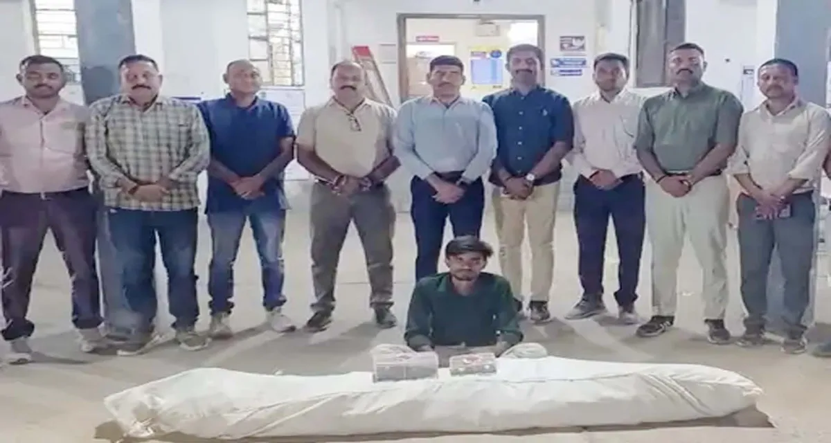 સાબરકાંઠાના બડોલની સીમમાં ડ્રોન સ્ટ્રાઈક : SOGએ ખેતરમાંથી ₹10 લાખનો ગાંજો ઝડપ્યો