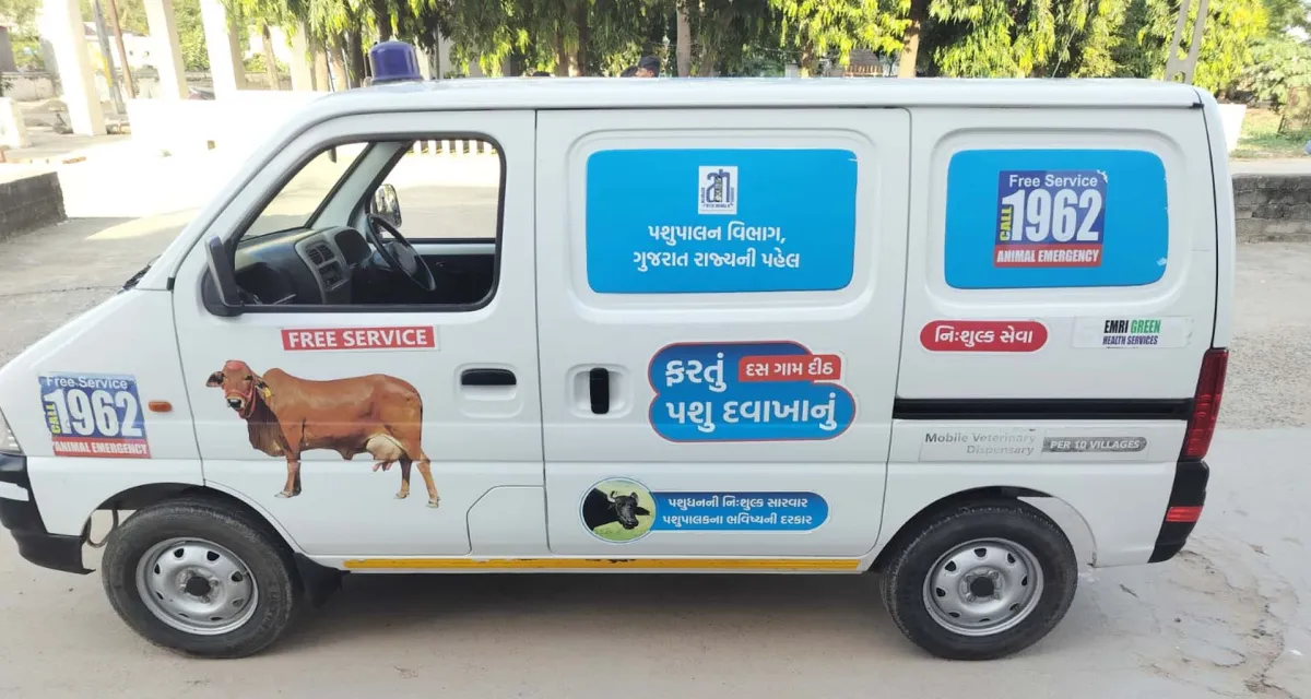 સાબરકાંઠામાં પશુપાલકો માટે ‘૧૯૬૨’ સેવા બની સંજીવની, પશુઓને ઘરઆંગણે મળી સારવાર