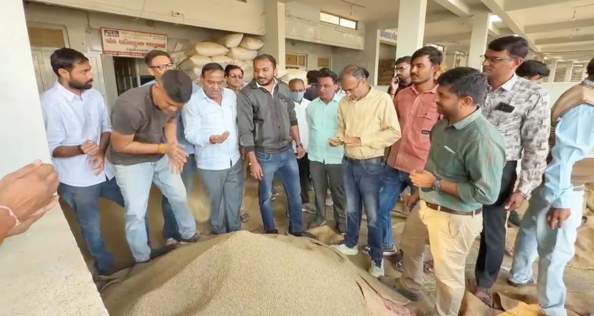 મસાલા નગરીમાં મંદીનો ફટકો: ઊંઝામાં જીરાના ઘટતા ભાવે જગતના તાતની મુશ્કેલી વધારી