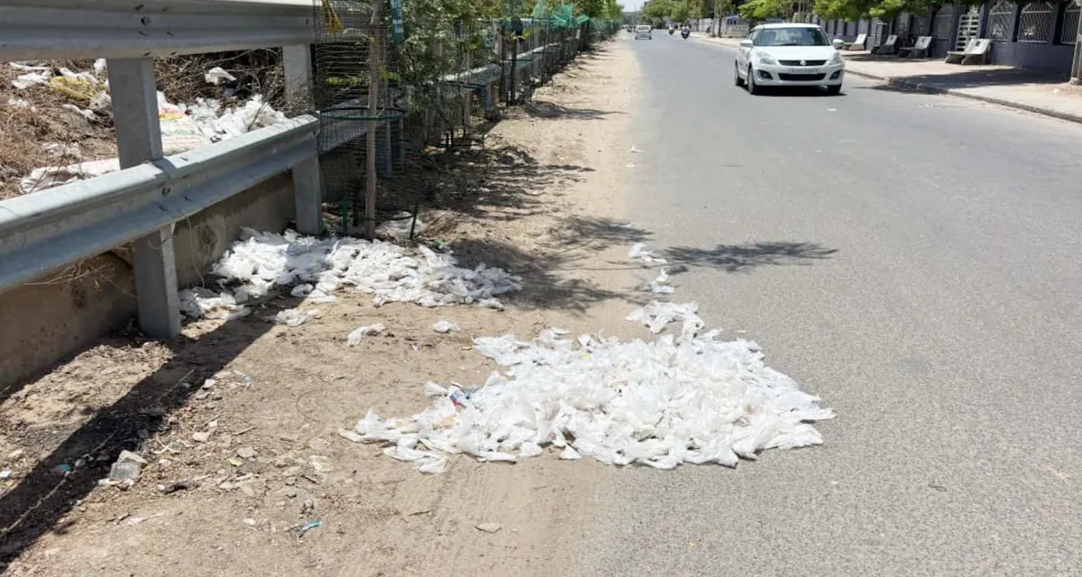 પાટણમાં દારૂબંધી માત્ર કાગળ પર? જાહેર રસ્તા પર દારૂની પોટલીઓ દેખાતા તંત્ર સામે સવાલ