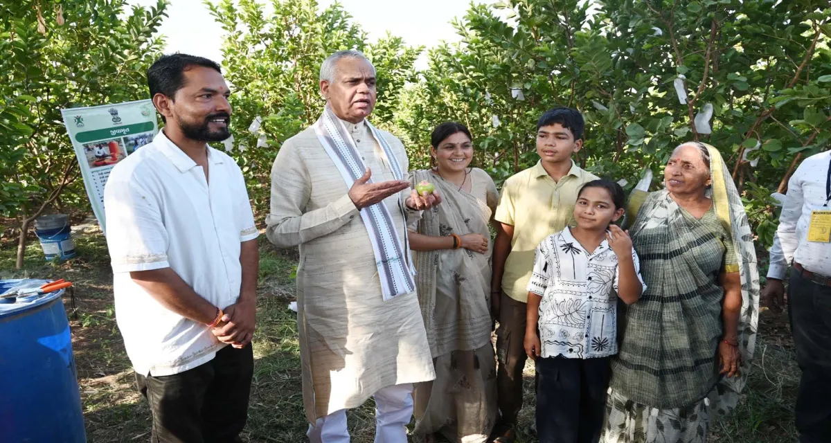 સાબરકાંઠામાં ‘બેક ટુ બેઝિક્સ’: ૩૮ હજારથી વધુ ખેડૂતોએ ગાય આધારિત ખેતી અપનાવી