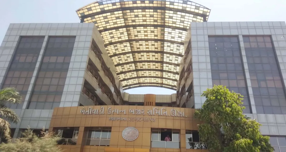 ઊંઝા માર્કેટ યાર્ડ: જીરાની આવકો અને ભાવ સ્થિર, મણના સરેરાશ ભાવ ₹૪૦૦૦ સુધી પહોંચ્યા