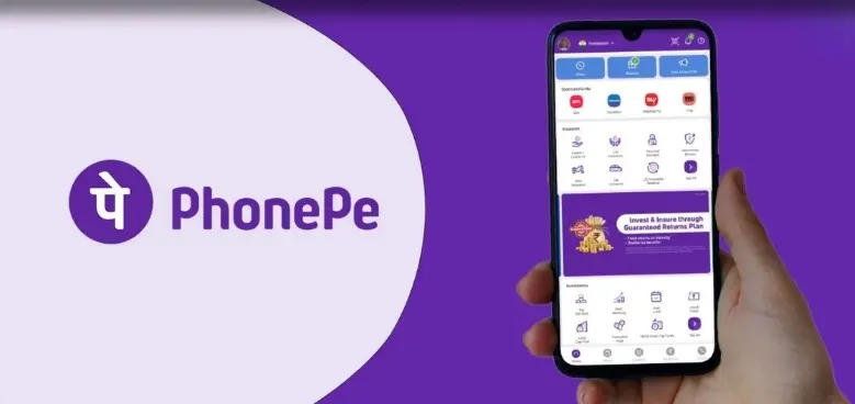 PhonePe યુઝર્સ માટે મોટો ફટકો! જો તમારું વોલેટ બંધ હશે, તો દર ત્રણ મહિને ₹100 કાપવામાં આવશે