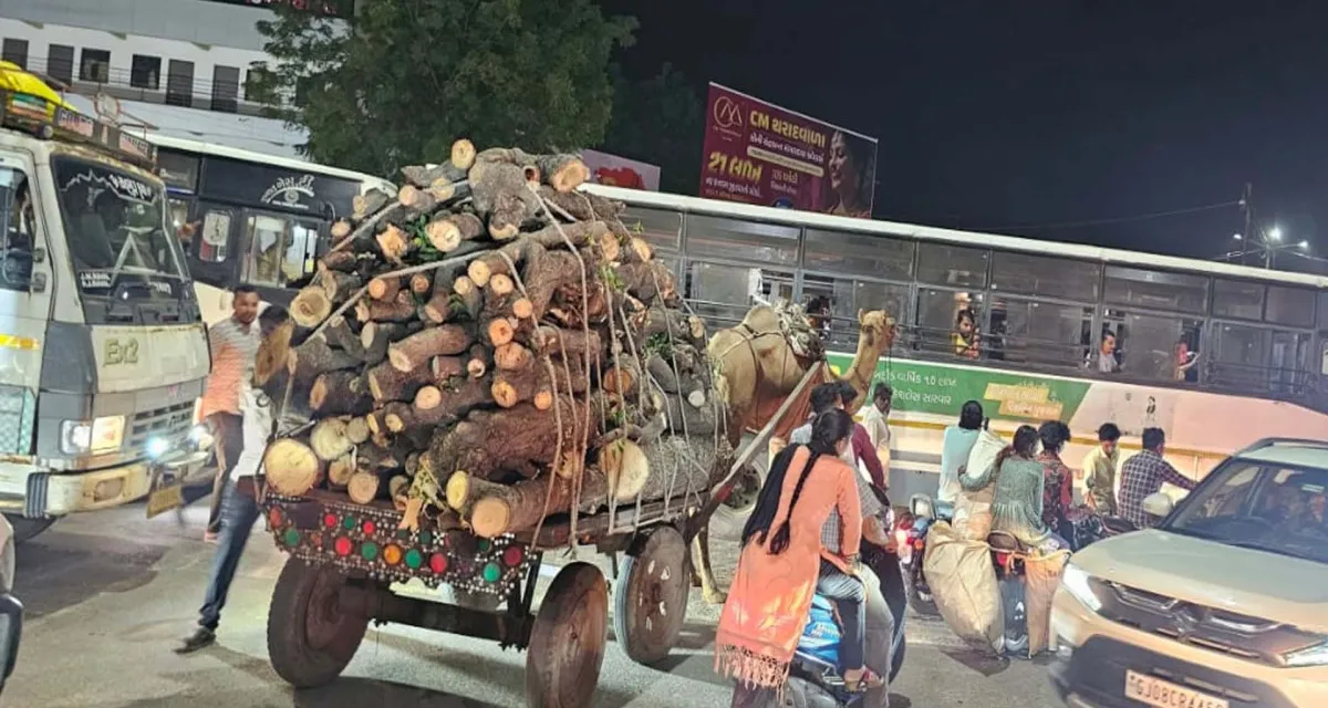 ડીસા પંથકમાં પર્યાવરણનું નિકંદન: તંત્રની બેદરકારી વચ્ચે ‘દેશી વિરપ્પનો’ સક્રિય