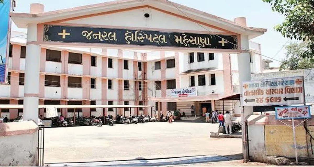 ચાંદીપુરા વાયરસનો કહેર: મહેસાણામાં 4 વર્ષની બાળકીનું મોત