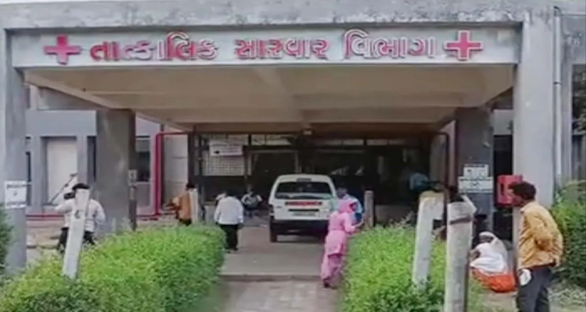 પાટણ જિલ્લામાં પ્રથમ ચાંદીપુરા વાયરસનો કહેર: ૫ વર્ષના બાળકનું મોત