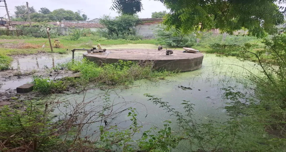 કાંકરેજ: ઉંચરપી ગામે પીવાની પાણીની ટાંકીમાંથી મૃત કબૂતર મળતા ગ્રામજનોમાં રોષ