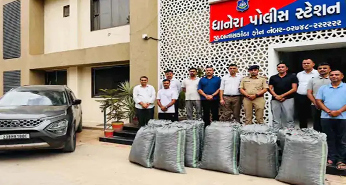 ધાનેરા પોલીસની મોટી કાર્યવાહી: ટાટા સફારી કારમાંથી 228.7 કિલો પોષડોડા ઝડપાયા