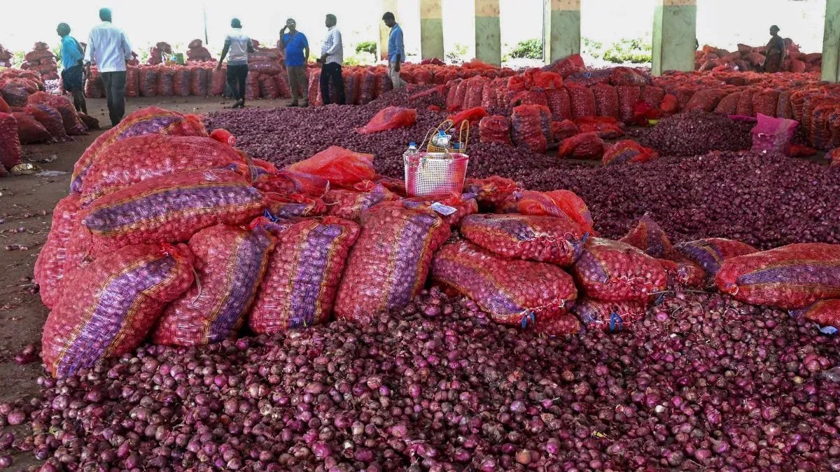 સરકારે 10 દિવસમાં 4,000 ટન ડુંગળી વેચી