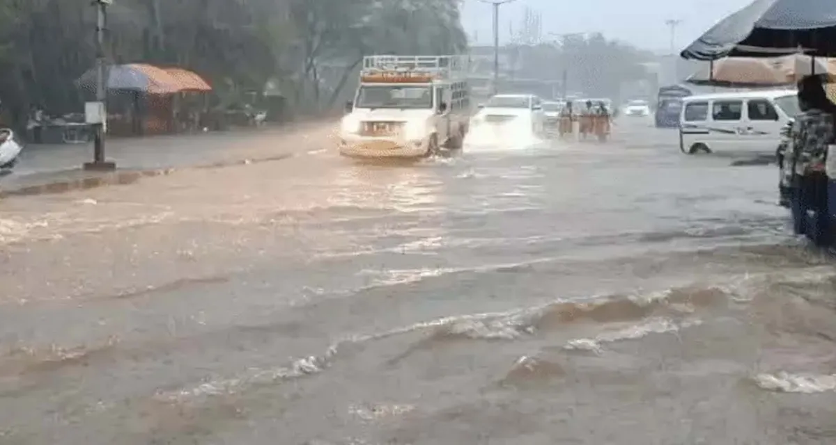 મહેસાણામાં મેઘરાજાની તોફાની બેટિંગ: વિજાપુરમાં ૩ ઇંચ વરસાદથી જળબંબાકાર