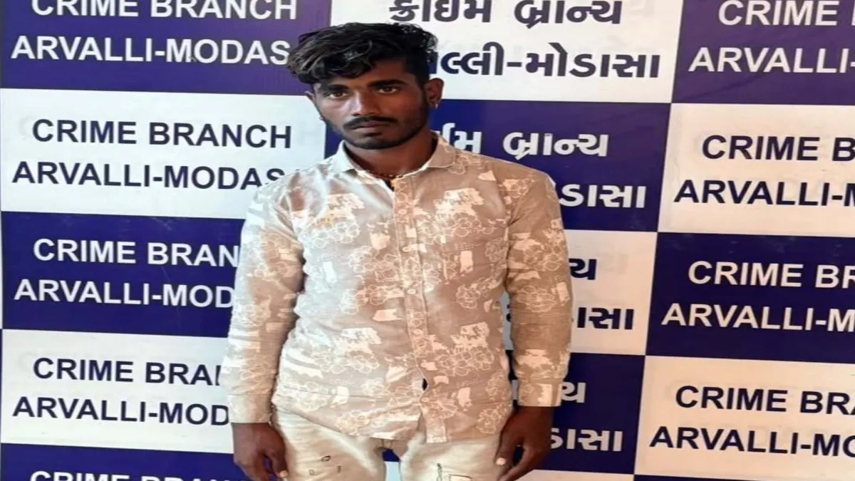 અરવલ્લી-સાબરકાંઠા બાઈક ચોરી: 'કાલબેલિયા ગેંગ'નો સાગરીત ઝડપાયો
