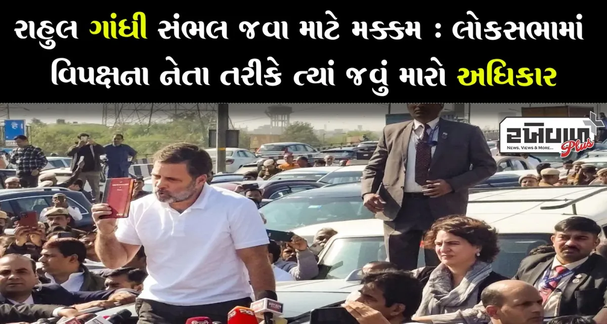 રાહુલ ગાંધી સંભલ જવા માટે મક્કમ : લોકસભામાં વિપક્ષના નેતા તરીકે ત્યાં જવું મારો અધિકાર