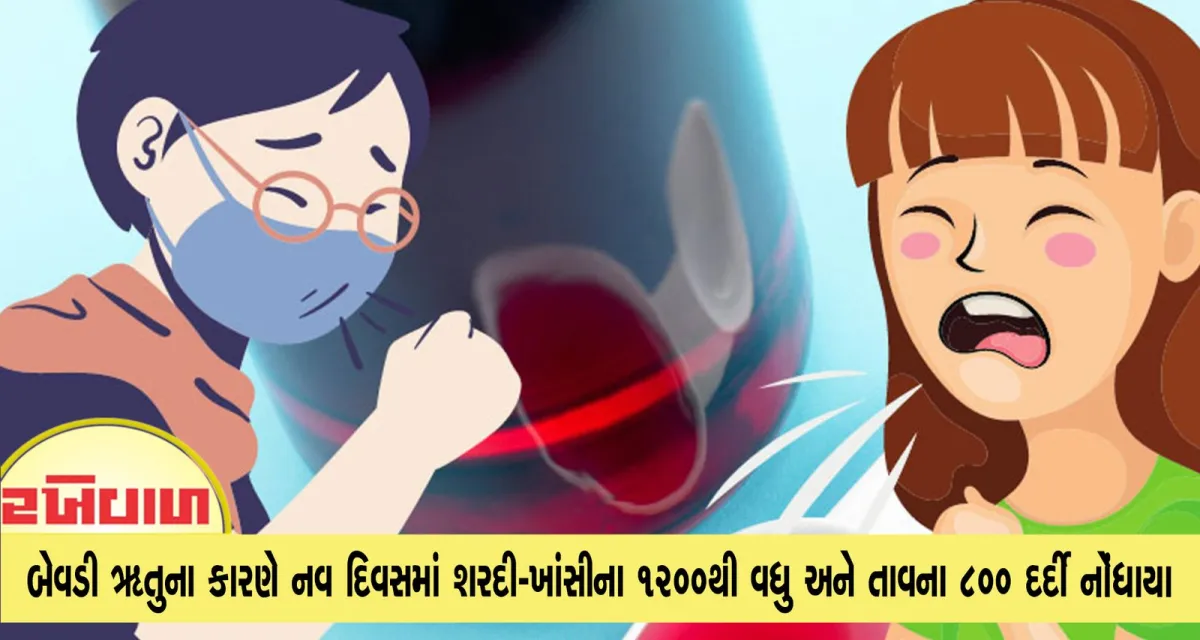 બેવડી ઋતુના કારણે નવ દિવસમાં શરદી-ખાંસીના ૧૨૦૦થી વધુ અને તાવના ૮૦૦ દર્દી નોંધાયા