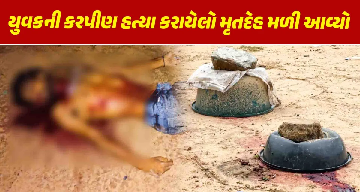 પાલનપુરના જનતાનગરમાં યુવકની કરપીણ હત્યા; પોલીસે ગુનો નોંધી આરોપીને ઝડપી લેવાના ચક્રો કર્યા ગતિમાન