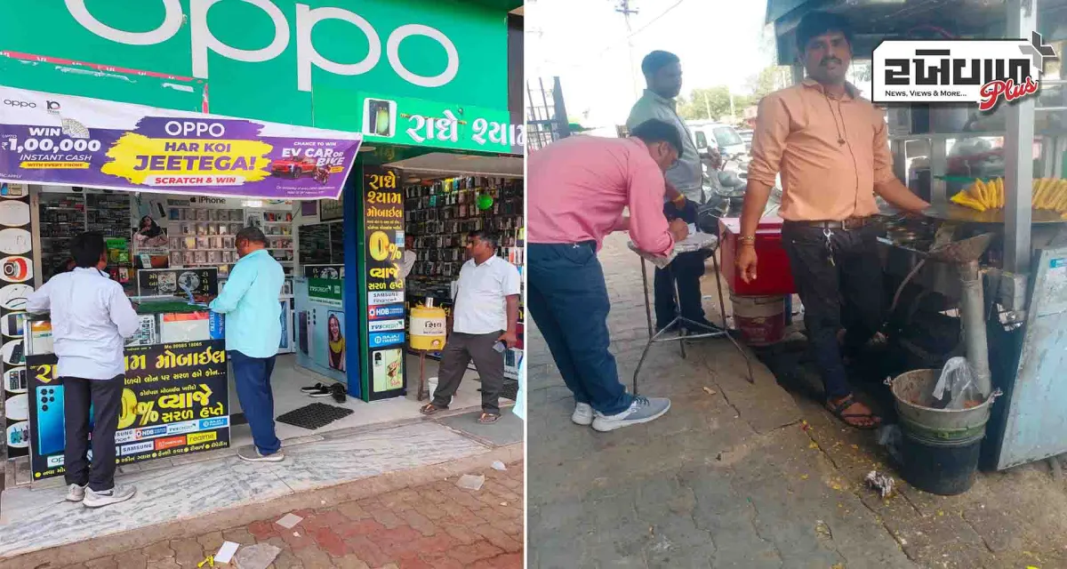 ડીસા પાલિકા દ્વારા નાસ્તાની લારીઓ અને ગલ્લાઓ ઉપર ચેકીંગ હાથ ધરાયું