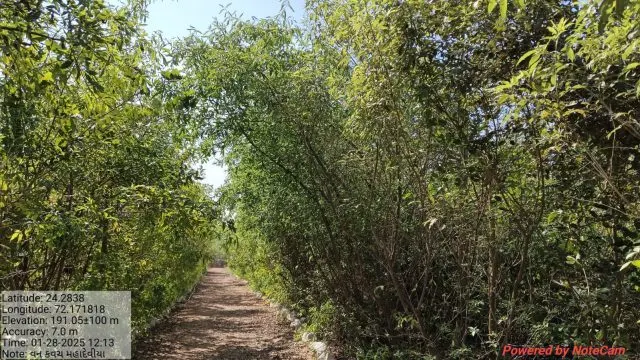 આજે 5 જૂન એટલે ‘વિશ્વ પર્યાવરણ દિવસ’