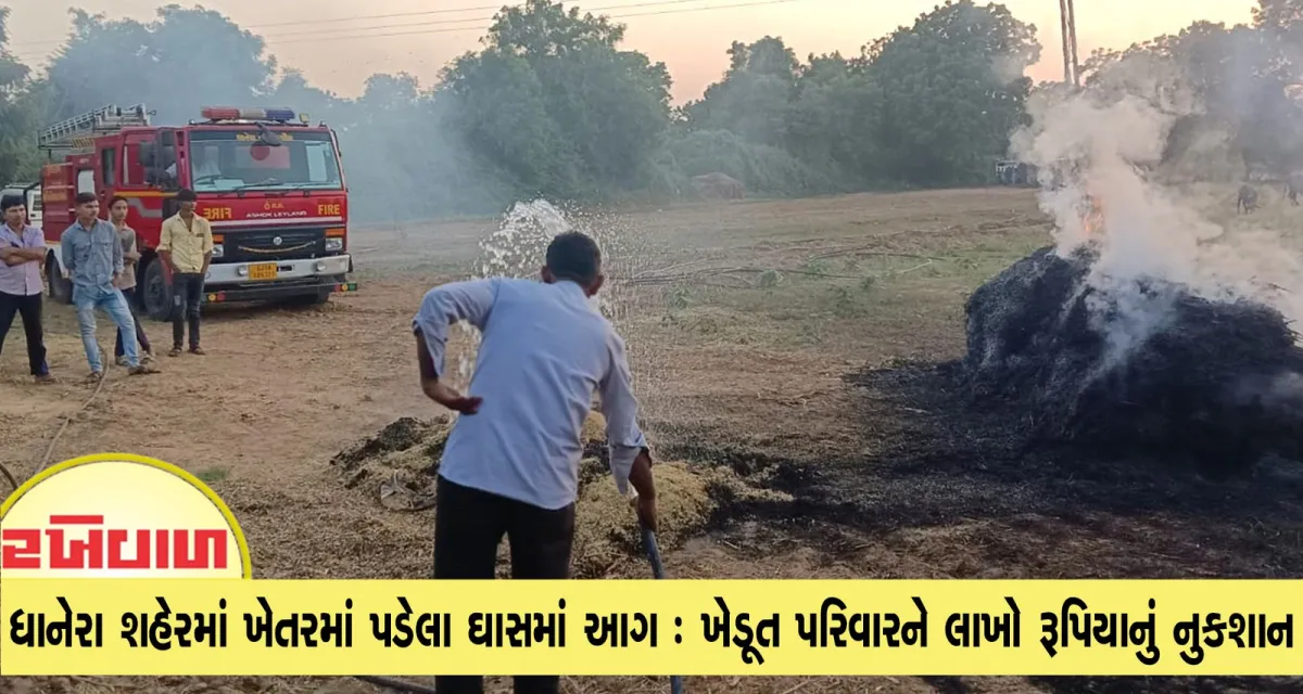 ધાનેરા શહેરમાં ખેતરમાં પડેલા ઘાસમાં આગ : ખેડૂત પરિવારને લાખો રૂપિયાનું નુકશાન