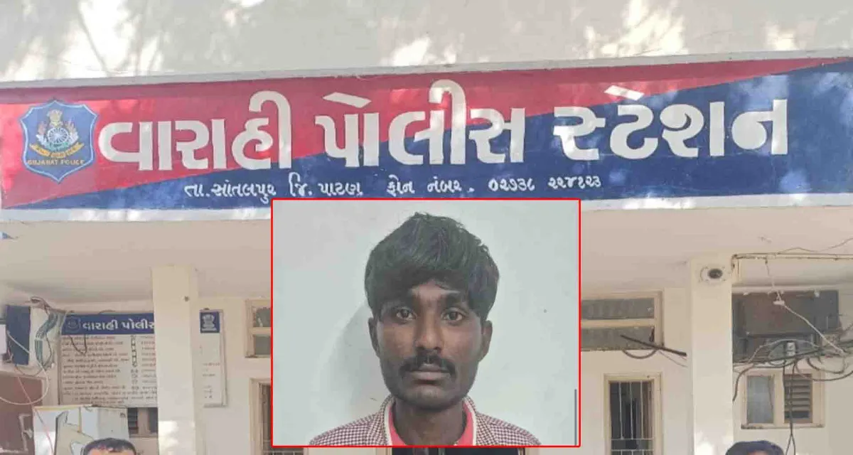 પાટણ એસઓજીએ પેટ્રોલિંગ દરમિયાન આઠ એન્ડ્રોઇડ મોબાઈલ સાથે એક ને ઝડપી પાડ્યો