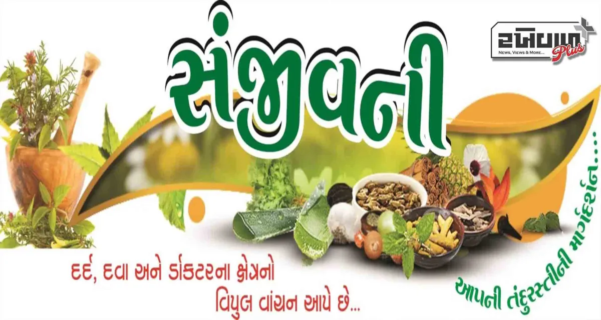 સવારે ખાલી પેટે બદામ ખાવી સ્વાસ્થ્ય માટે વધુ ફાયદાકારક