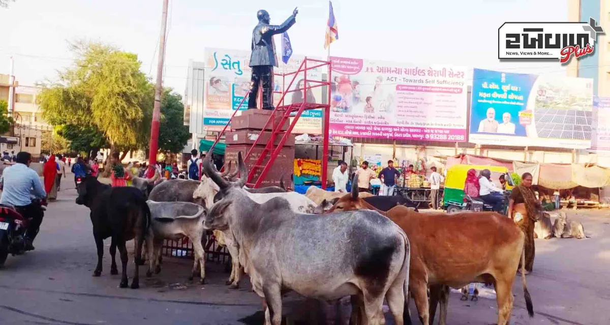 પાલનપુર શહેરમાં સીમલા ગેટ વિસ્તારમાં ટ્રાફિક વ્યવસ્થા ભગવાન ભરોસે?