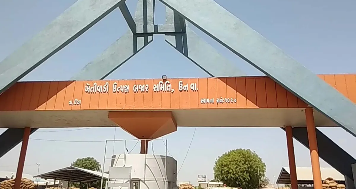 ઊંઝા નજીક ઉનાવા માર્કેટયાર્ડ ખાતે દિવાળીના તહેવારોને આગામી 18 થી 25 ઓક્ટોમ્બર સુધી બંધ રહેશે