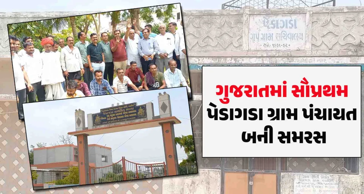 ગ્રામ પંચાયતોની ચૂંટણીના પડઘમ વચ્ચે; ગુજરાતમાં સૌપ્રથમ પેડાગડા ગ્રામ પંચાયત બની સમરસ