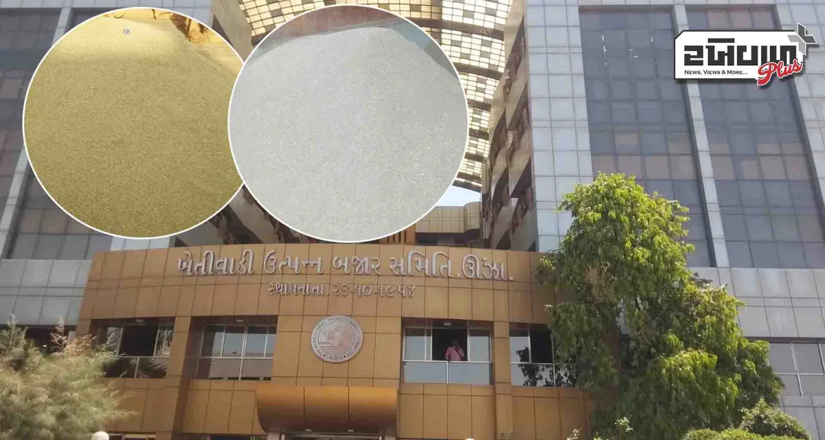 ઉંઝા માર્કેટ યાર્ડમાં મસાલાની ચીજોની નવા માલની આવકો શરૂ