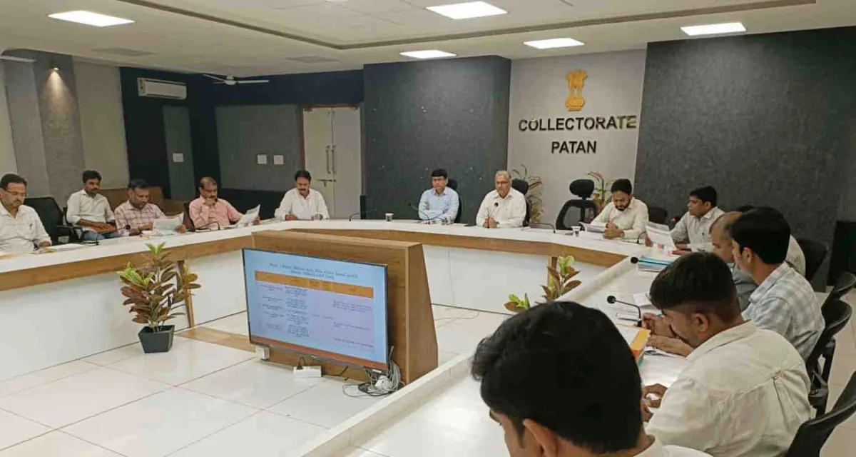 પાટણ કલેક્ટરના અધ્યક્ષપદે જિલ્લા પ્રવાસન સમિતિની બેઠક યોજાઈ