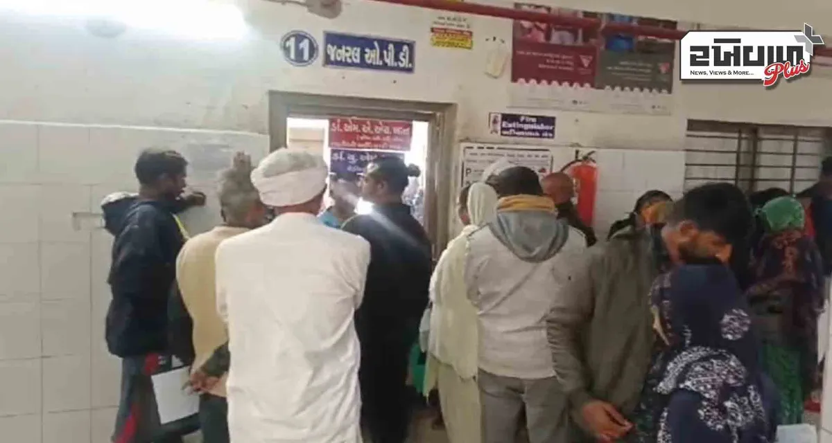 લોકોમાં એચએમપીવી વાયરસના ભય વચ્ચે; ડીસાની સિવિલ હોસ્પિટલ દર્દીઓથી ઉભરાઈ ઉઠી