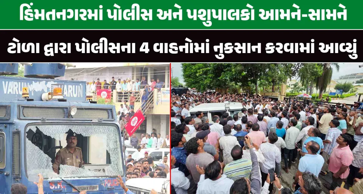 સાબરકાંઠા; પોલીસ અને પશુપાલકો આમને સામને ઘટનામાં ત્રણ લોકો ઘાયલ