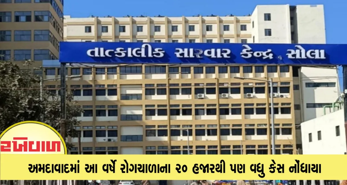 અમદાવાદમાં આ વર્ષે રોગચાળાના ૨૦ હજારથી પણ વધુ કેસ નોંધાયા