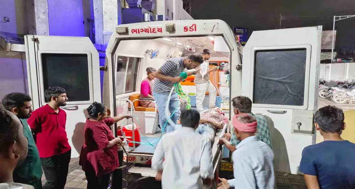 રખડતાં ઢોરોનો ત્રાસ યથવાત; કડી માં આખલા સાથે બાઇક અથડાતાં બે યવકોના મોત