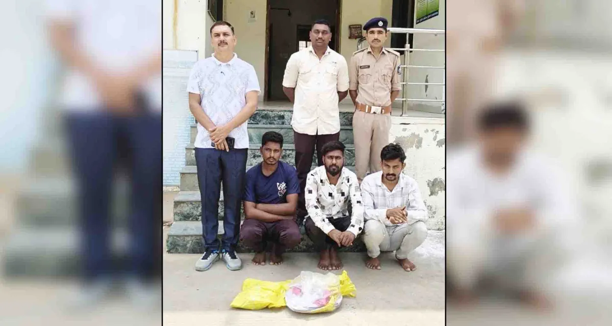 વડનગરમાં શેર બજારમાં રોકાણ કરાવી લોકો સાથે ઠગાઈ કરતી ટોળકીને પોલીસે પકડી પાડી
