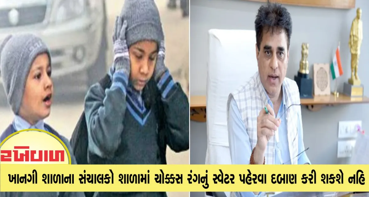 ખાનગી શાળાના સંચાલકો શાળામાં ચોક્કસ રંગનું સ્વેટર પહેરવા દબાણ કરી શકશે નહિ : રાજ્ય શિક્ષણ મંત્રી
