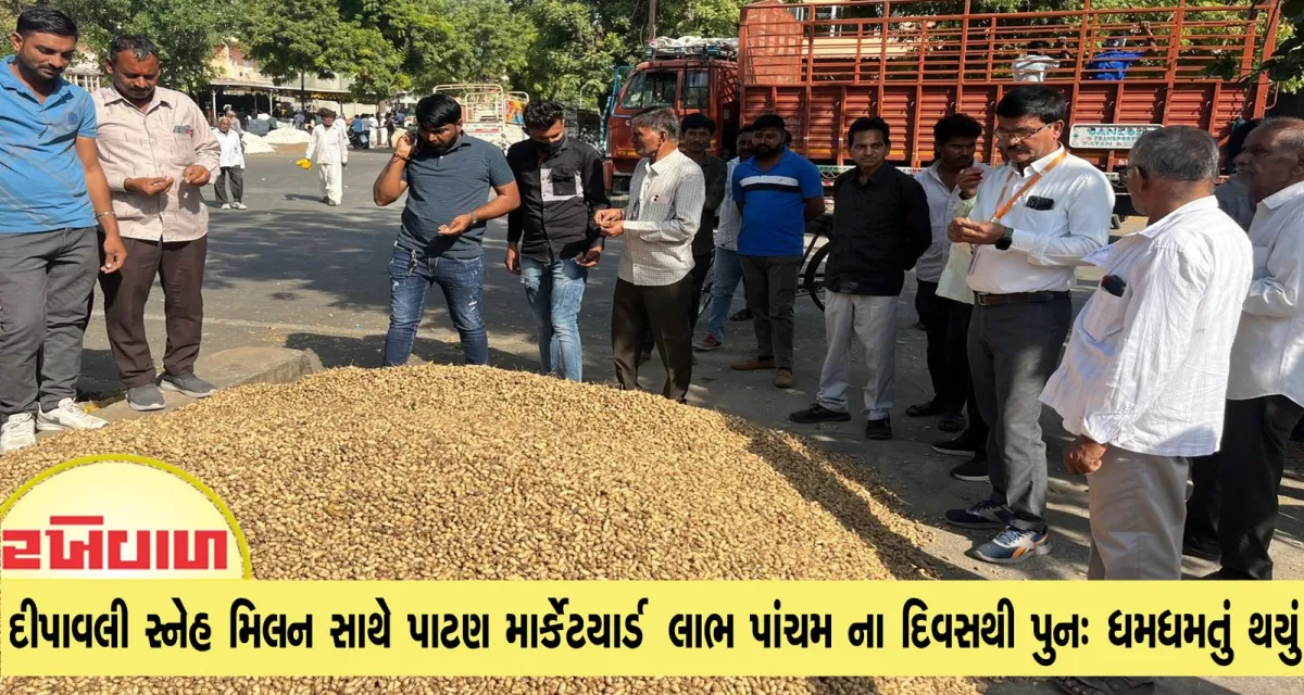 દીપાવલી સ્નેહ મિલન સાથે પાટણ માર્કેટયાર્ડ લાભ પાંચમ ના દિવસથી પુન: ધમધમતું થયું