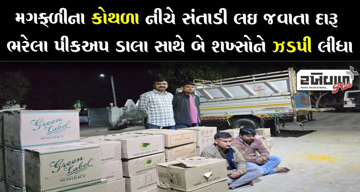 મગફળીના કોથળા નીચે સંતાડી લઈ જવાતા દારૂ ભરેલા પીકઅપ ડાલા સાથે બે શખ્સોને ઝડપી લીધા