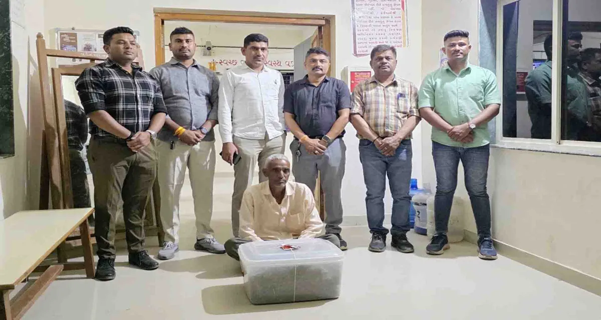સાબરકાંઠા; એસઓજી એ ગાંજાના જથ્થા સાથે એક શખ્સની ધરપકડ કરી