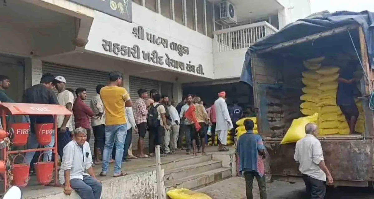 પાટણમાં યુરિયા ખાતર મેળવવા ખેડૂતોની લાંબી કતારો જામી…!