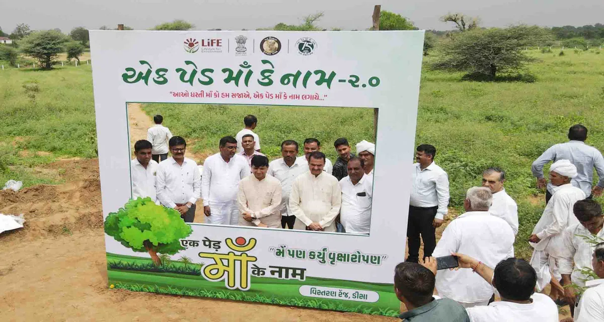 ડીસાના ગૂગળ ખાતે 'એક પેડ માઁ કે નામ' અભિયાન અંતર્ગત ૧૧,૦૦૦ વૃક્ષોનું વાવેતર