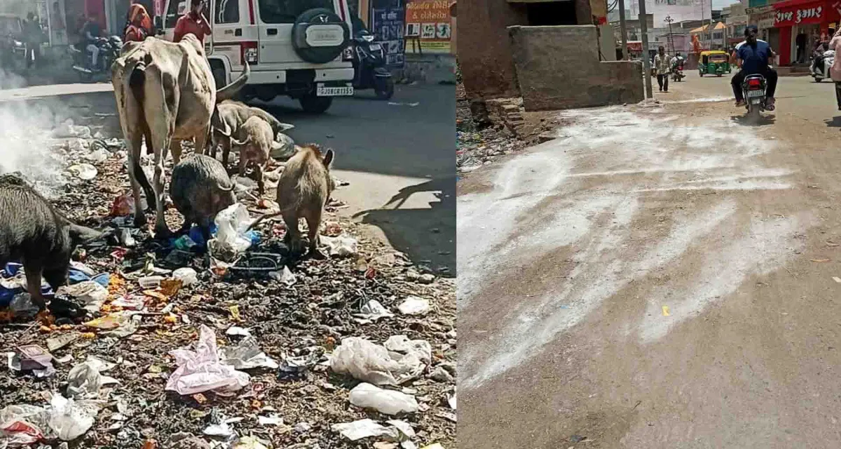 પાલનપુરના દિલ્હીગેટ વિસ્તારની વર્ષોજુની સમસ્યાનો અંત; દિલ્હીગેટ ચોક બન્યો ગંદકી મુક્ત