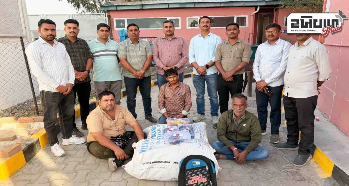 બનાસકાંઠા એસ.ઓ.જી પોલીસે લક્ઝરી બસમાંથી 29 કિલો નસીલા પદાર્થ સાથે ત્રણ શખ્સોની અટકાયત