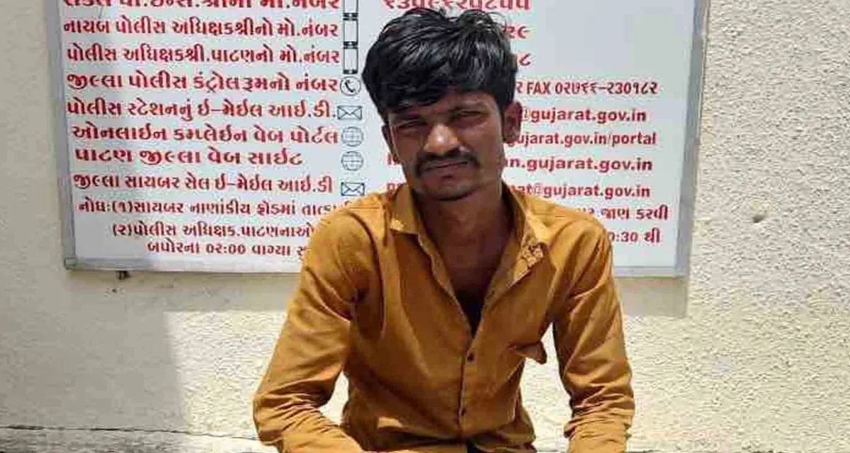 પાટણ એલસીબી પોલીસે દેશી બનાવટની બંદૂક જપ્ત કરી એકની અટકાયત
