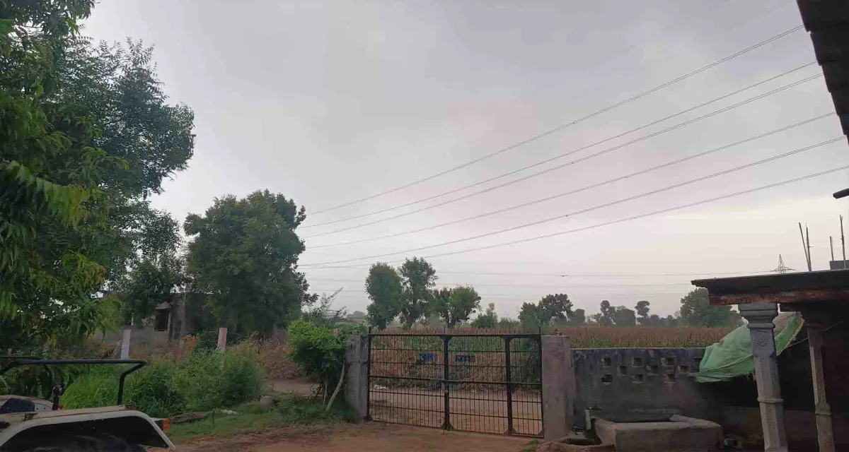 કમોસમી વરસાદ : બનાસકાંઠા જિલ્લામાં વાતાવરણમાં પલટો