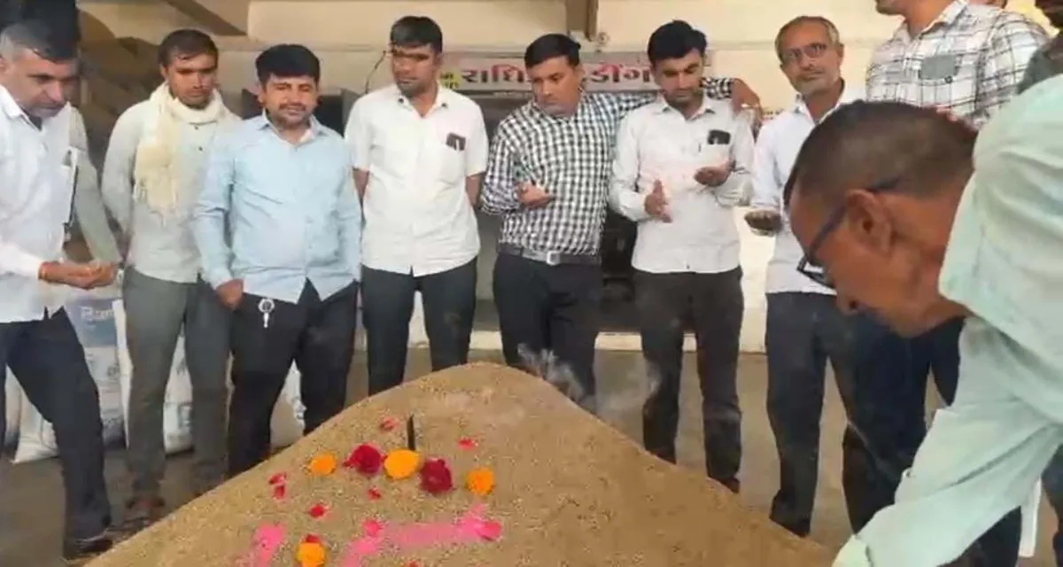 થરાદ માર્કેટયાર્ડમાં જીરાની નવી આવકનો શ્રી ગણેશ