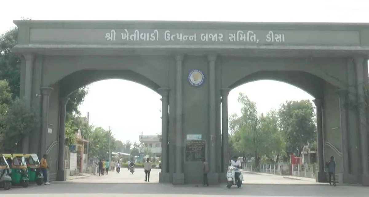 ડીસા માર્કેટયાર્ડમાં આજથી 10 દિવસનું વેકેશન : હોળી પર્વને લઈ મજૂરો વતન રવાના