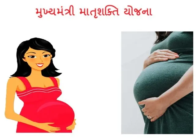 મુખ્‍યમંત્રી માતૃશક્તિ યોજના અંતર્ગત છેલ્લાં એક વર્ષમાં પાંચ લાખથી વધુ લાભાર્થીઓને લાભ અપાયો
